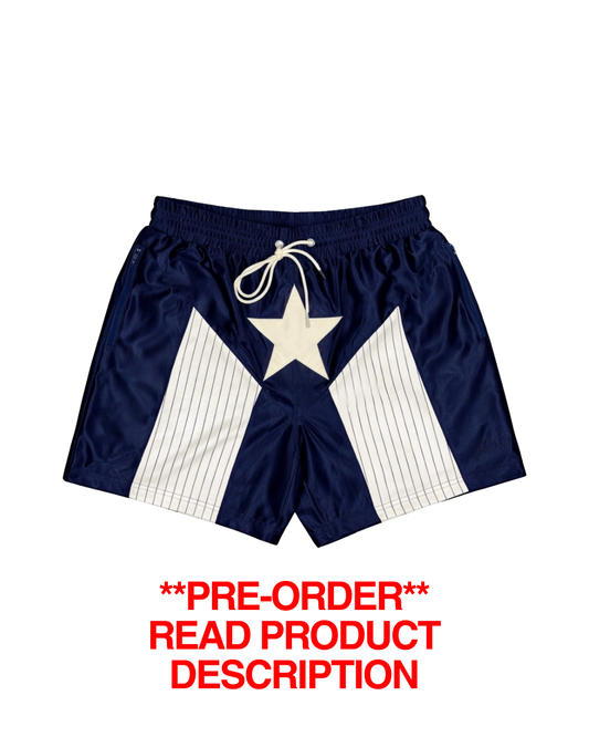 PRE-ORDER "PIN-STRIPES" | BOXING / BASKETBALL SHORT