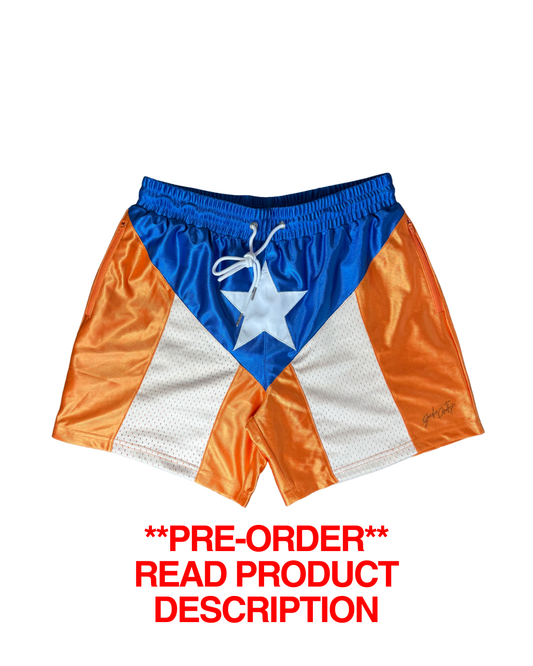 PRE-ORDER "NUEVA YOL" | BOXING / BASKETBALL SHORT