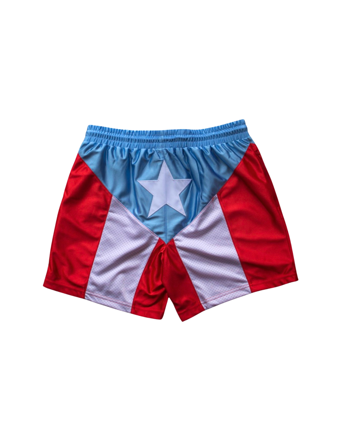 "ISLA DE CAMPEONES" OG | BOXING / BASKETBALL SHORT